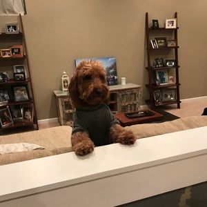 Meet your Posher, Ryan